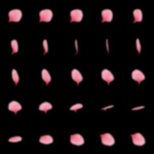 Jaka Dolog Wduss profile icon