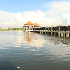 Hardiyan Teguh Widodo profile icon