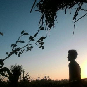 NWH Lovers profile icon