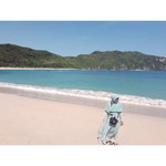 Noviana Nurhadianti profile icon
