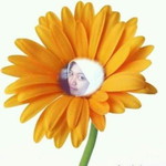 Witdartiyani Bioremediasi Bunga Matahari profile icon