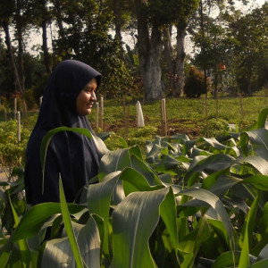 Devi Kurnia Aprilianti profile icon