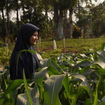 Devi Kurnia Aprilianti profile icon