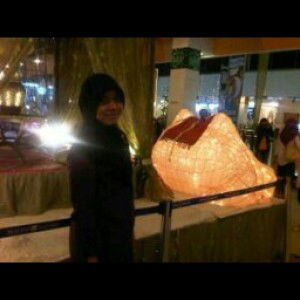 Turina Sabari profile icon