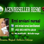 Erni Erviani Nursal Asm-diamond profile icon