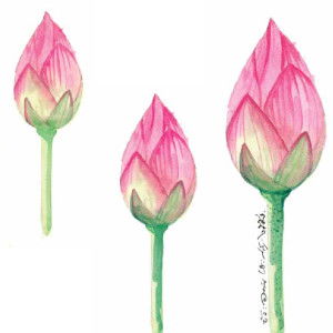 lookpar neung profile icon