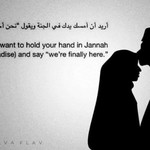 Diana El-kamill profile icon