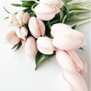 Winda Musthifani profile icon