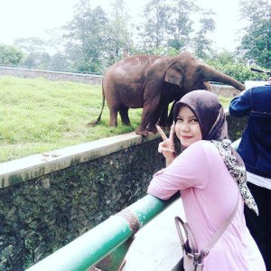 Ina Herlinna profile icon