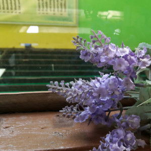 Dan Nara profile icon