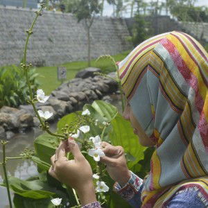 Riesa Sayonggzt Al-Mahruszt Anwar profile icon