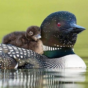 Reni Novitasari profile icon