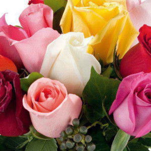 Ummu Royyan profile icon