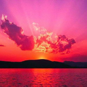 Aniita Dewii profile icon