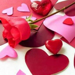 Adiendha Rista profile icon