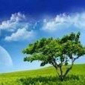 Zuraidha Hanum Alfadani profile icon