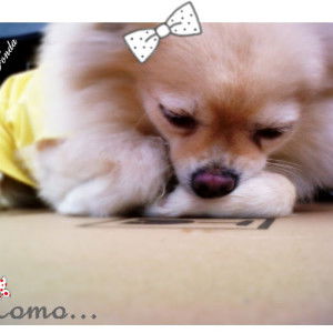 Lilyanti Fonda profile icon