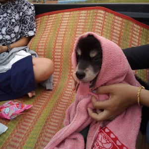 Supaporn Sirnao profile icon