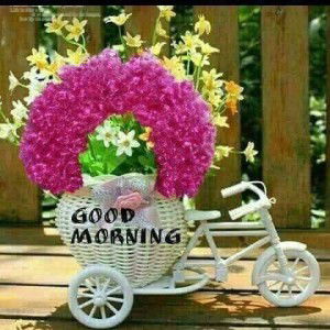 แสงสุดท้าย ที่ปลายอุโมงค์ profile icon