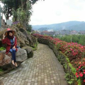 katrin viani profile icon