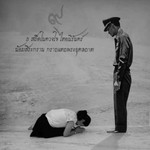 Duangporn Rungtikumpornchai profile icon