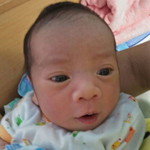 นกกระจิบ ปีกสั้น profile icon