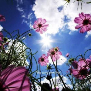 Ummu AlFatih profile icon