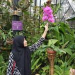 Maulida Aulia profile icon