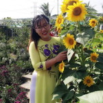 Pham Ngoc Anh profile icon