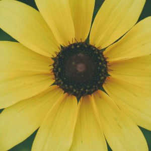 Zakiyatun Nadia profile icon