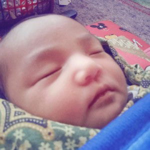 Desi Denosaa profile icon