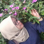 Syushe SuksesmUlia Ingin profile icon