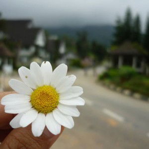 Zulika Othman profile icon