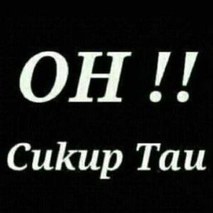 Lina Salasatun profile icon