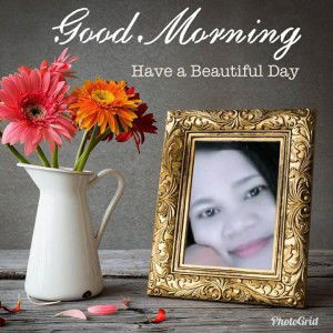 Veni Veni profile icon