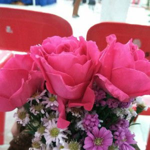 Ajeng Putri Karisma profile icon