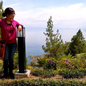 novindy fahlawani lubis profile icon