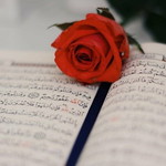 Ainun Alkaff profile icon