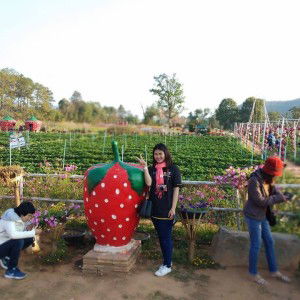 Wilawan Eye profile icon