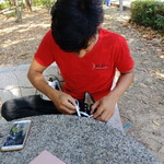 Tung may profile icon