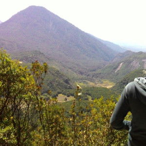 Rina YR profile icon