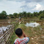 Anis Faida profile icon