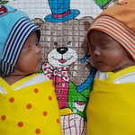 Rohmah PayTren profile icon