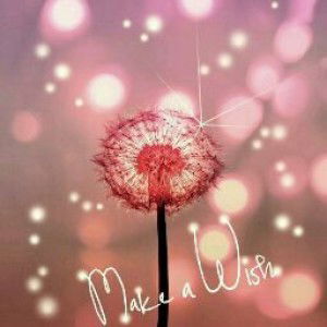 Ira Lestari profile icon