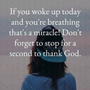 shasa Anne profile icon