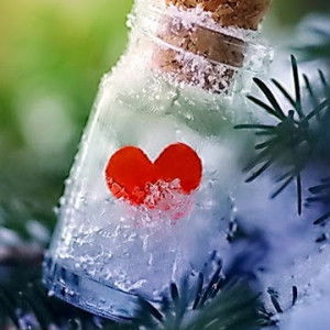 Anugrah Aini profile icon