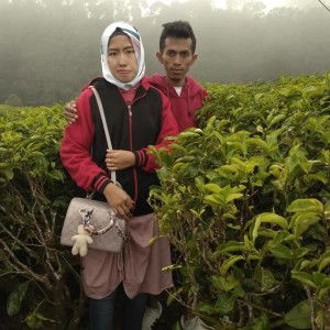 Yosi Putry Manday profile icon