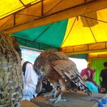 Prasetyo Aji Putra profile icon