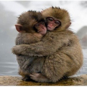 Oatsadawut Chodcham profile icon