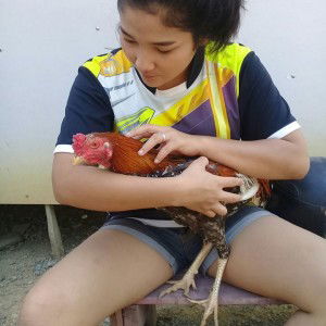 OM Pimphilai profile icon